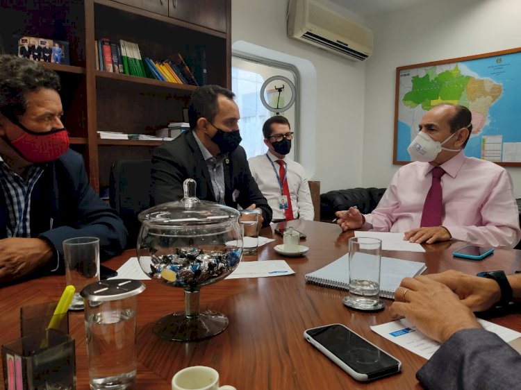 Vereadores se reúnem com senador Marcelo Castro e apresentam demandas de interesse do Município